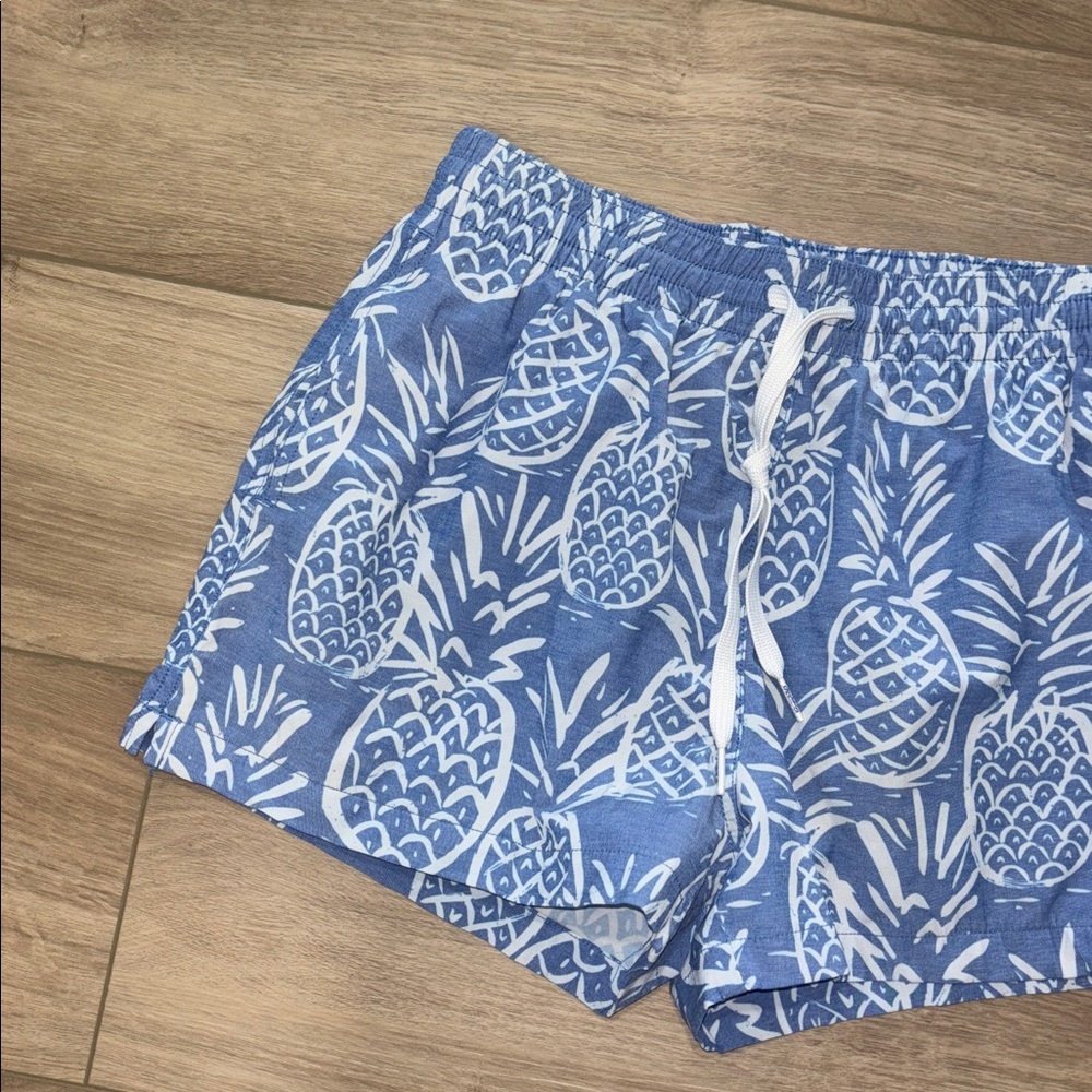 Chubbies Blue and White Pineapple Men's Athletic/swim Shorts small 4” - Picture 2 of 5